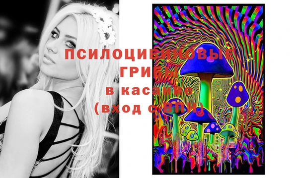 круглые Переславль-Залесский