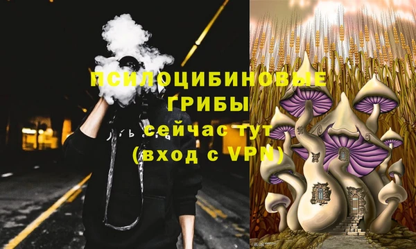 спиды Пестово