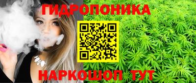 кокс Гусь-Хрустальный