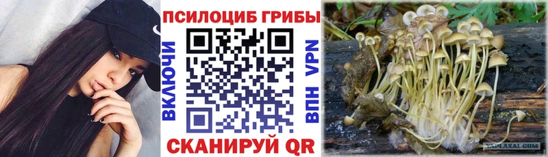 Галлюциногенные грибы GOLDEN TEACHER  сколько стоит  Магнитогорск 
